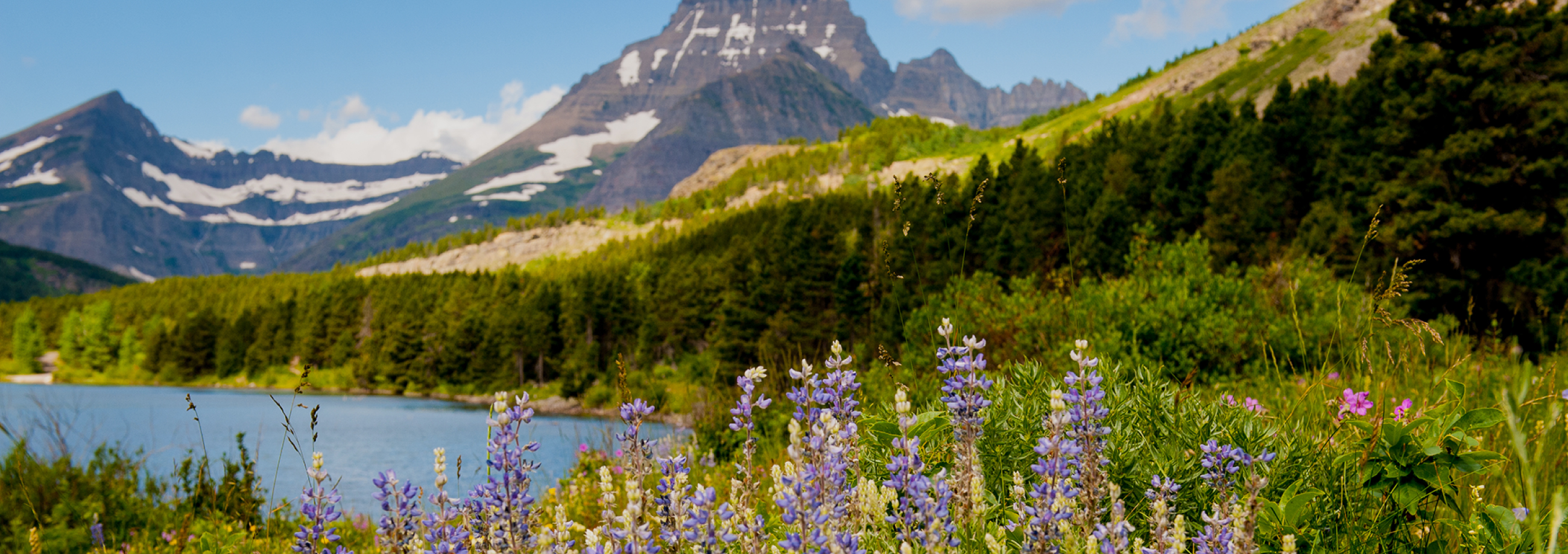 GLACIER NATIONAL PARK【グレーシャー国立公園】