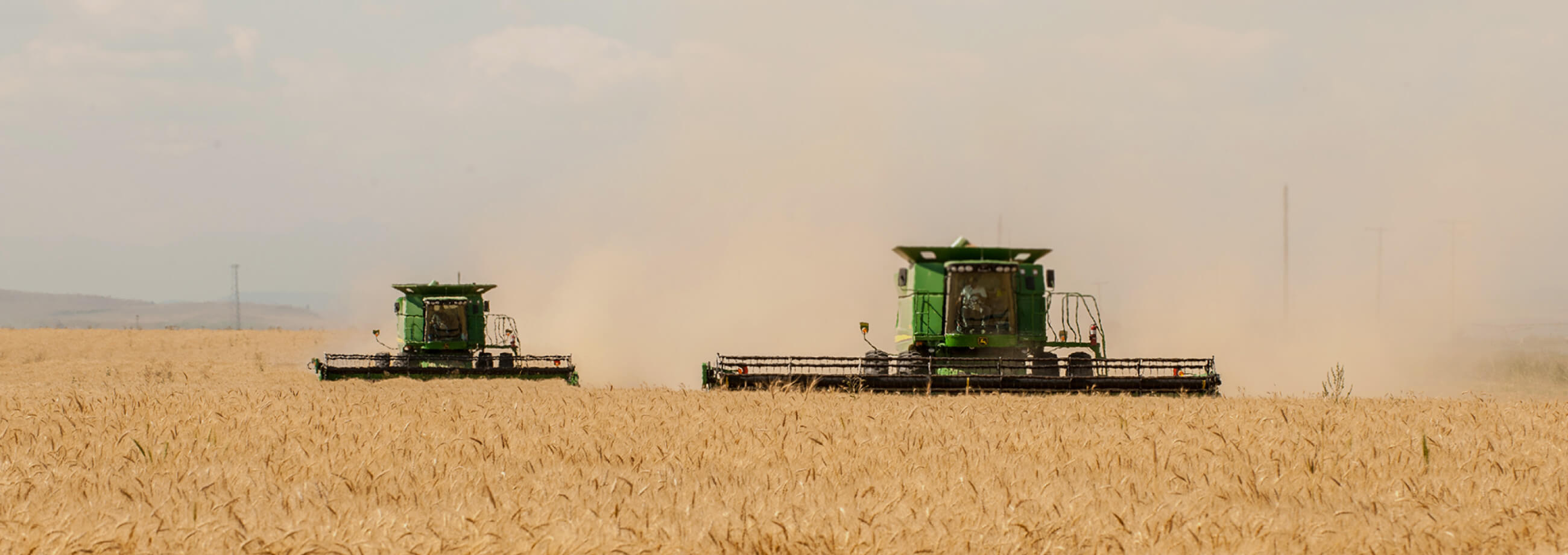 AGRICULTURE【農業】