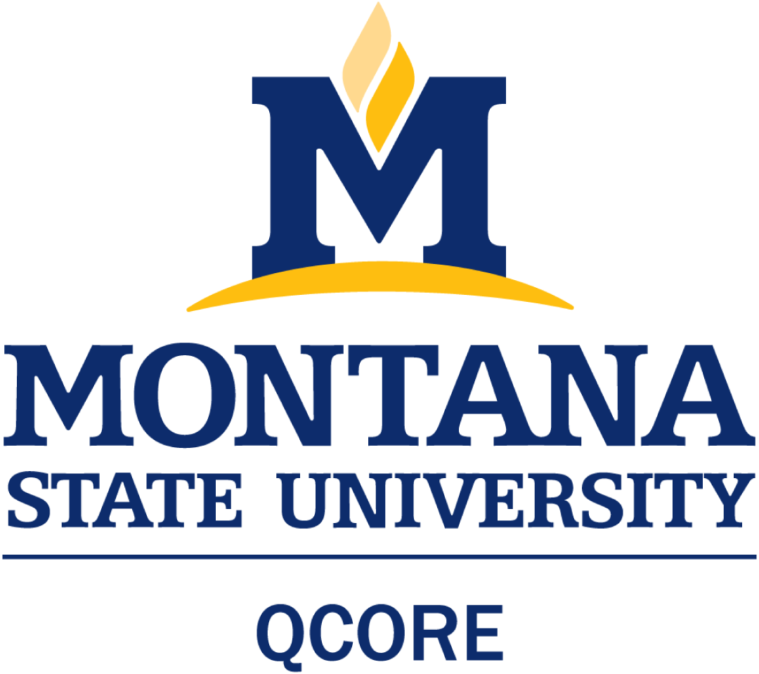 Quantum Science and Technologies Research（QCORE）