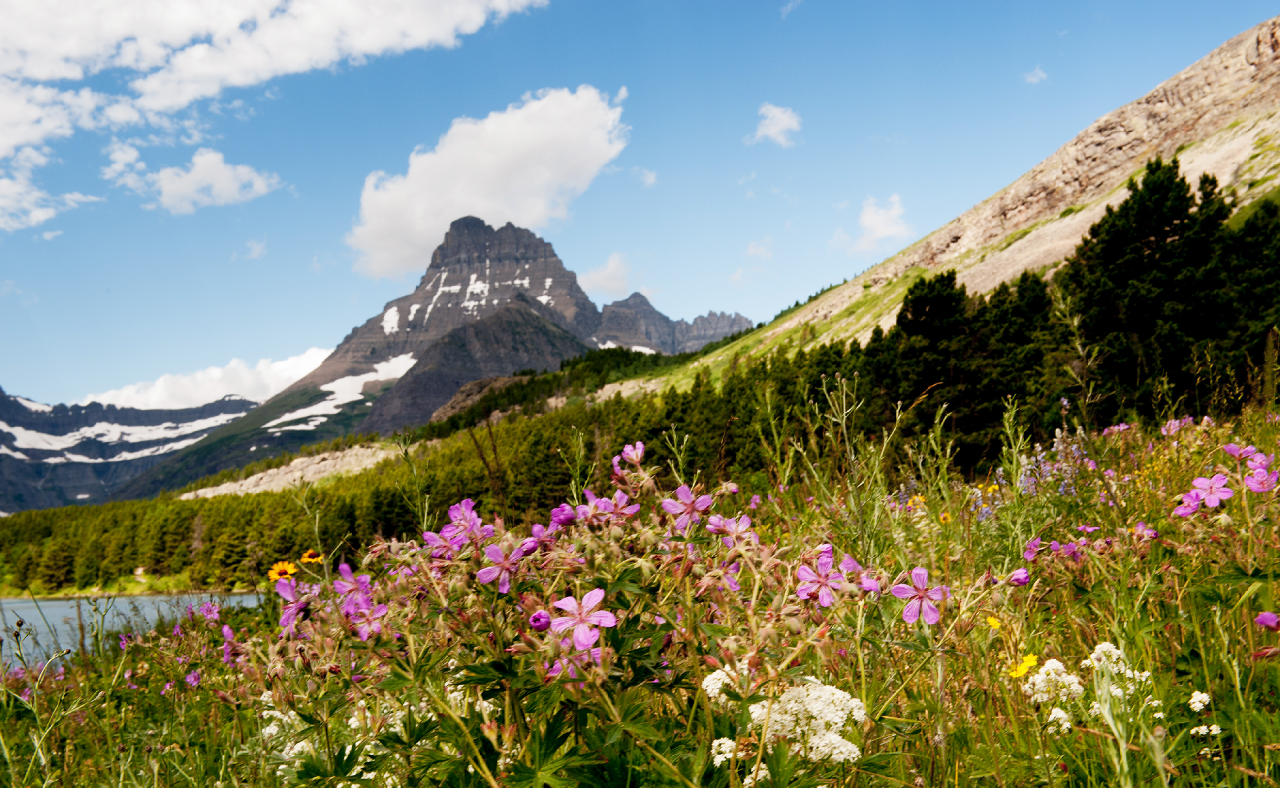 WELCOME TO MONTANA