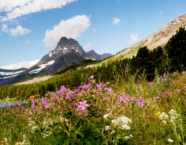 WELCOME TO MONTANA